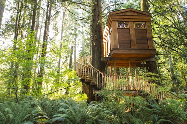 13 best tree house vacation rentals in the USA