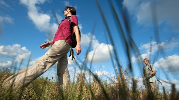 5 memorable hikes in Everglades National Park for gators, waders and more