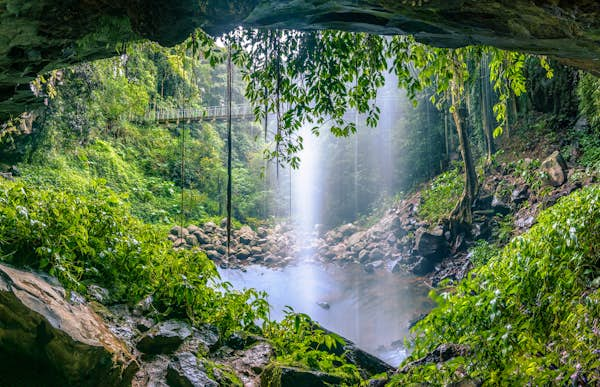 5 unmissable Scenic Rim hikes: ancient rainforests and lush waterfalls await you