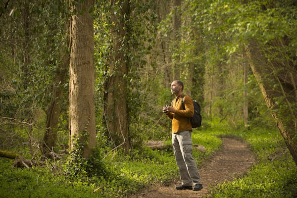 7 incredibly scenic hikes in Virginia