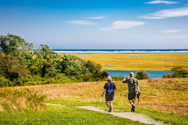 8 of the best hikes in Cape Cod, and top tips to make the most of your time on the trails