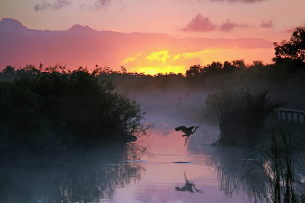 8 ways to get the most out of Everglades National Park