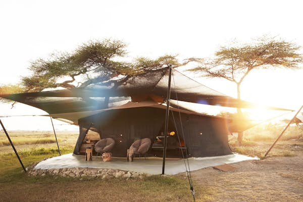 A day on safari in Africa: what you can expect in camp and in the wild