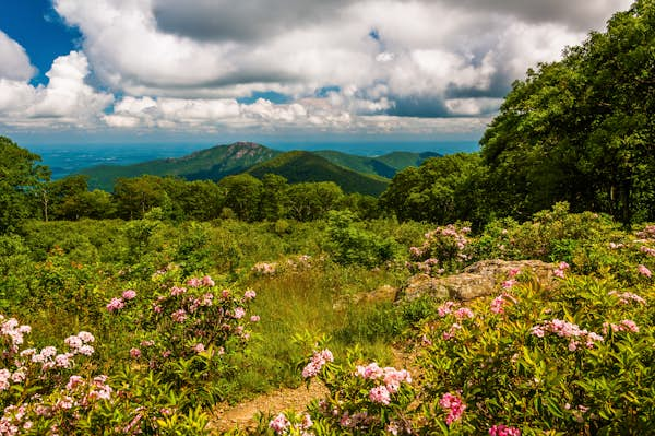 A first-time guide to Shenandoah National Park