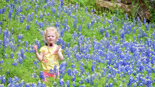 A first-timer’s guide to the Texas Hill Country: wineries, watering holes and wildflowers