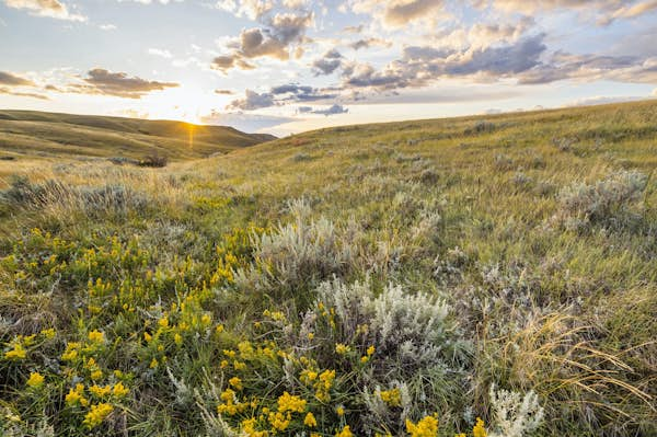 Admire Saskatchewan’s stunning landscape on this National Parks road trip