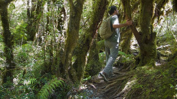 Adventures in Northern Patagonia: exploring Chile’s verdant peaks and valleys