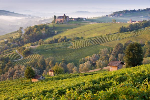 Alps, art and aperitivo: 10 reasons to visit Piedmont