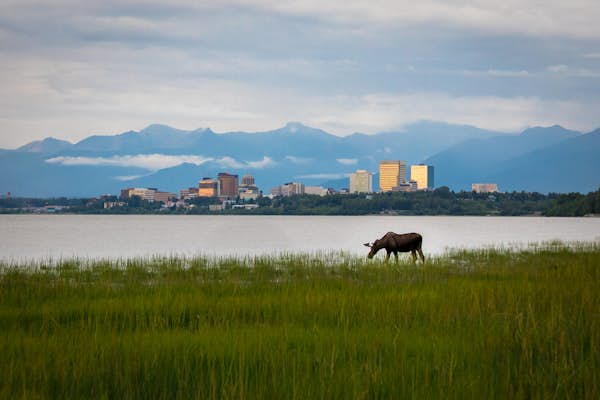 Anchorage’s best neighborhoods are full of breweries, bike trails and bear sightings