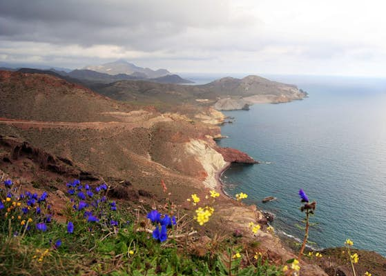 Andalucía’s top parks for nature lovers