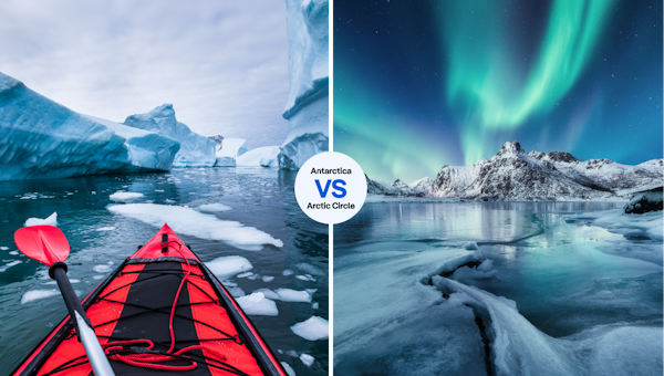 Antarctica vs the Arctic: which polar wilderness is for you?