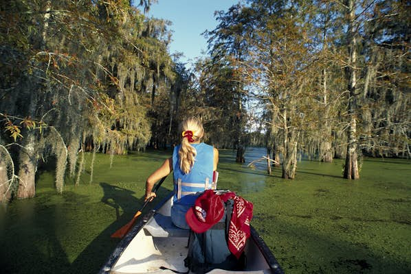 Bayous, boardwalks & birding: get outdoors in Louisiana