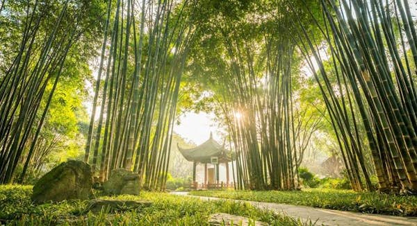 Beautiful parks and snowy mountains in Chengdu, China