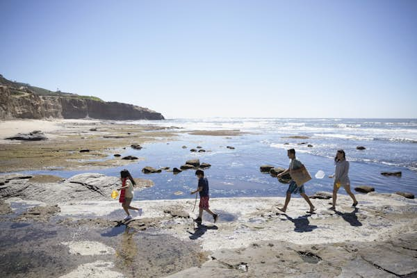 Best beaches in San Diego