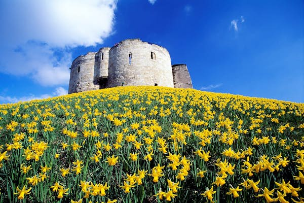 Best things to do in Yorkshire in spring