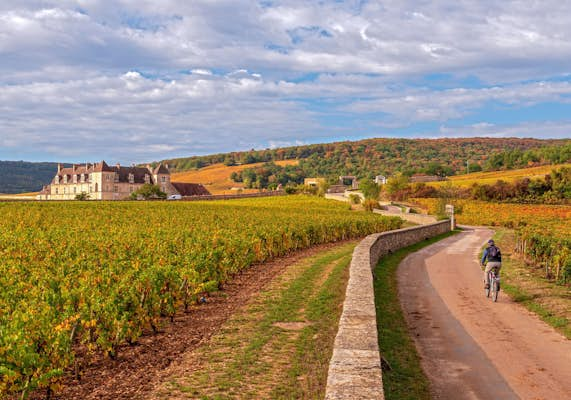 Bonding over Burgundy: Cycling the Route des Grands Crus