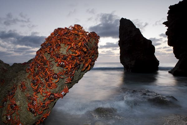 Christmas Island: is this Australia’s best kept travel secret?