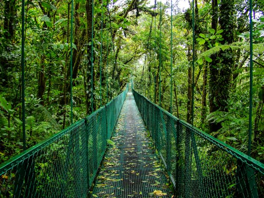 Costa Rica has reopened to travelers. Here’s what it’s like to visit