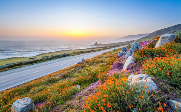 Cut-price California: the best free things to do in the Golden State