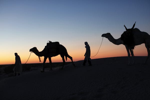 Desert odyssey: planning your trip to the Tunisian Sahara