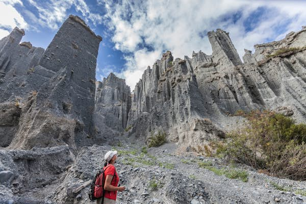 Discover where locals travel in New Zealand