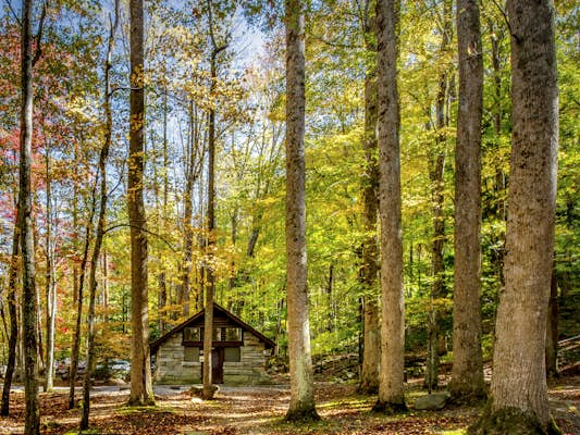 Easy Smoky Mountain day trips from Gatlinburg