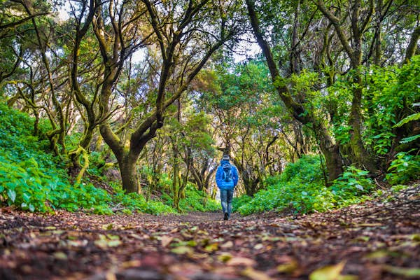 El Hierro, the little-explored Canary Island that breaks all the stereotypes