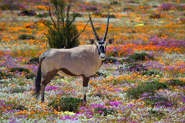 Escape to South Africa’s Northern Cape