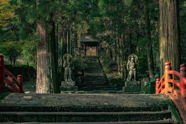 Explore the culture and history of Kyushu