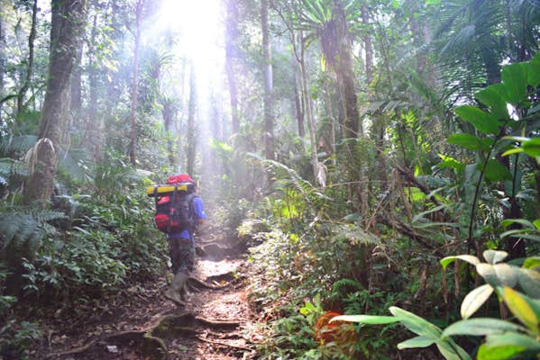 Exploring Sumatra’s Kerinci Seblat National Park: where tigers still roam