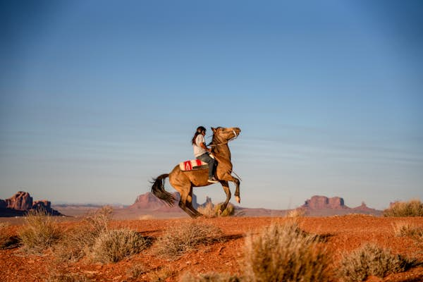 Finding Indigenous America in US national parks this summer 2022