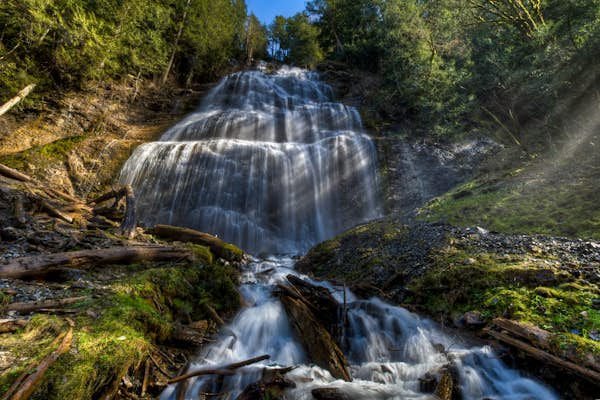 Five ways to watch wildlife in Colombia