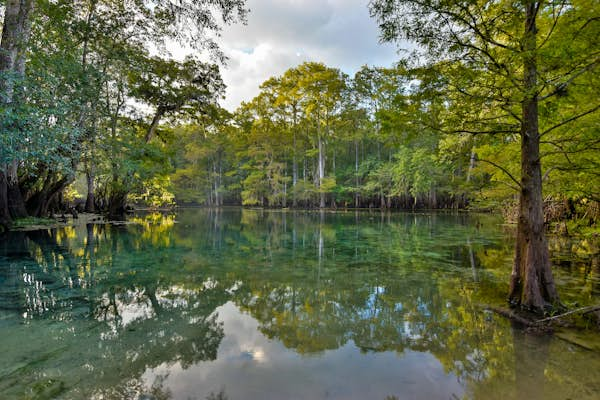 Florida’s freshwater activities