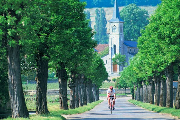 France’s 8 best cycling routes, from Alpine climbs to leisurely wine trails