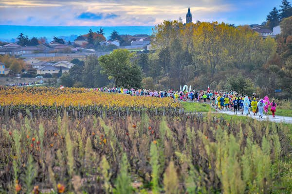 France’s wine runs: Marathon du Médoc is fun but Beaujolais is the boozy race to beat