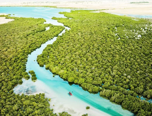 From sea to dune, adventure abounds in Qatar