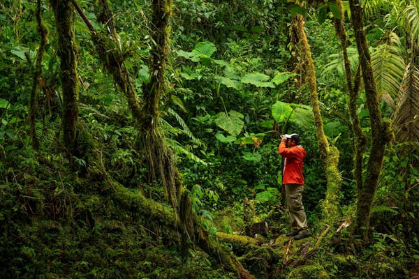 From the city to the jungle: The 7 best hikes in Panama