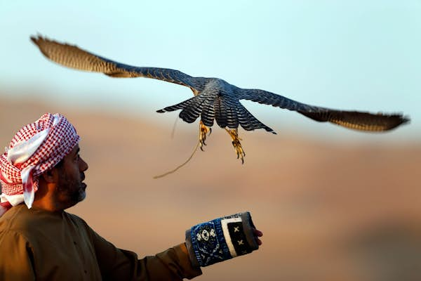 Get your motor runnin’ in the Empty Quarter