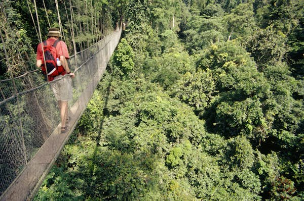 Ghana’s best national parks for wildlife viewing, canopy walks and more