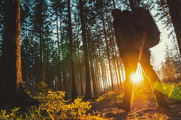 Going green in Germany’s Black Forest