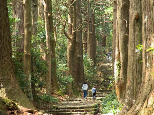 Hiking the Kumano Kodō: Japan’s ancient pilgrimage route