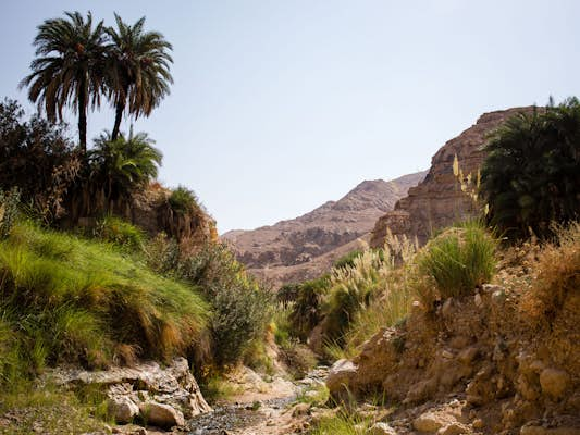 Hiking wadis and waterfalls on Jordan’s Dead Sea coast