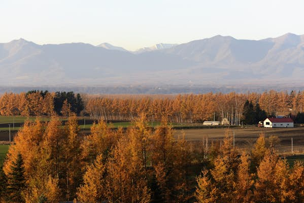 Hokkaidō road trip: exploring Japan’s wild north