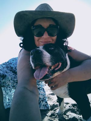 How a street dog from Grand Bahama saved my travel writing career