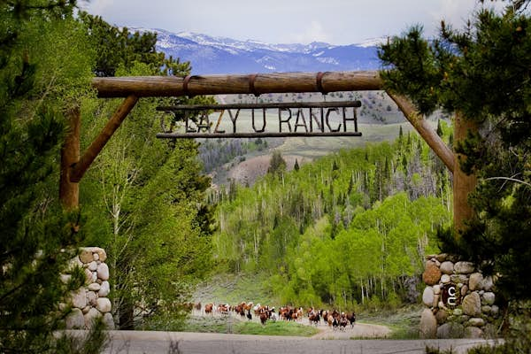 How America’s premier dude ranch spurred a century of wild west vacations