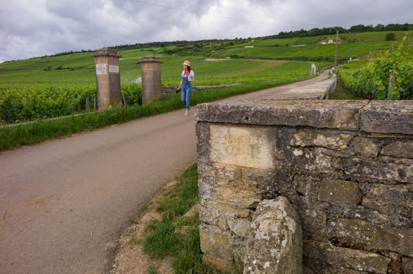 How to get around Burgundy: all aboard the vineyard express