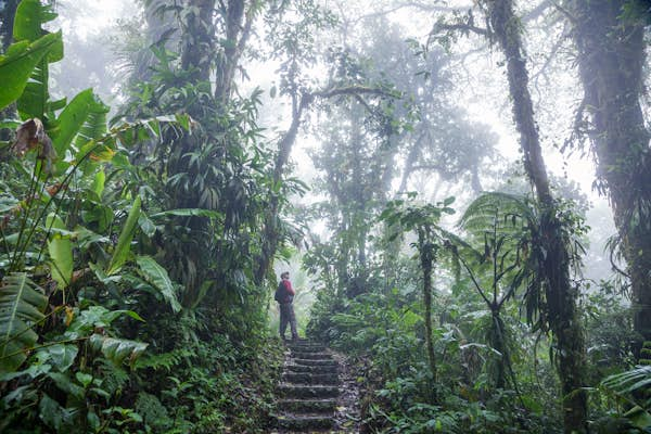 In pursuit of pura vida: peaceful escapes in Costa Rica