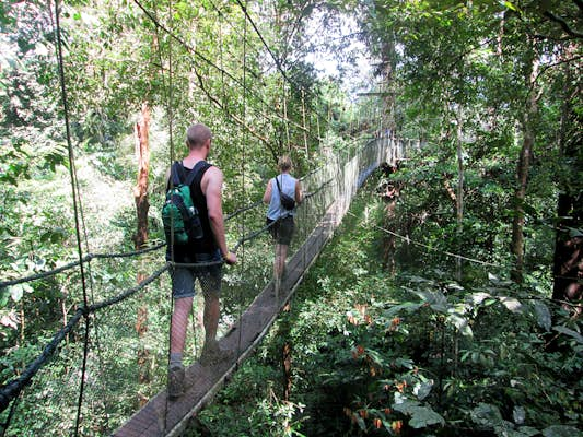 Into the heart of Borneo: a guide to Sarawak’s national parks