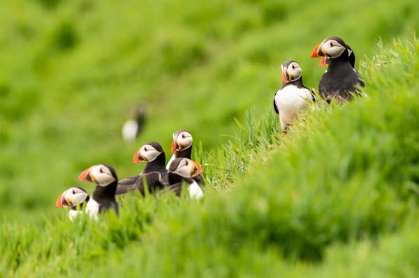 Introducing Wales’ epic national parks