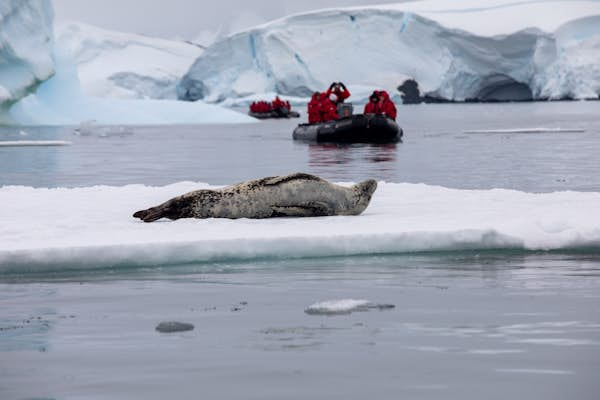 Is it sustainable to visit Antarctica?